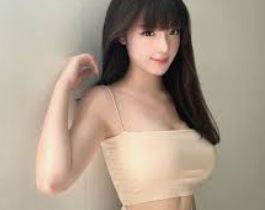 内容目录